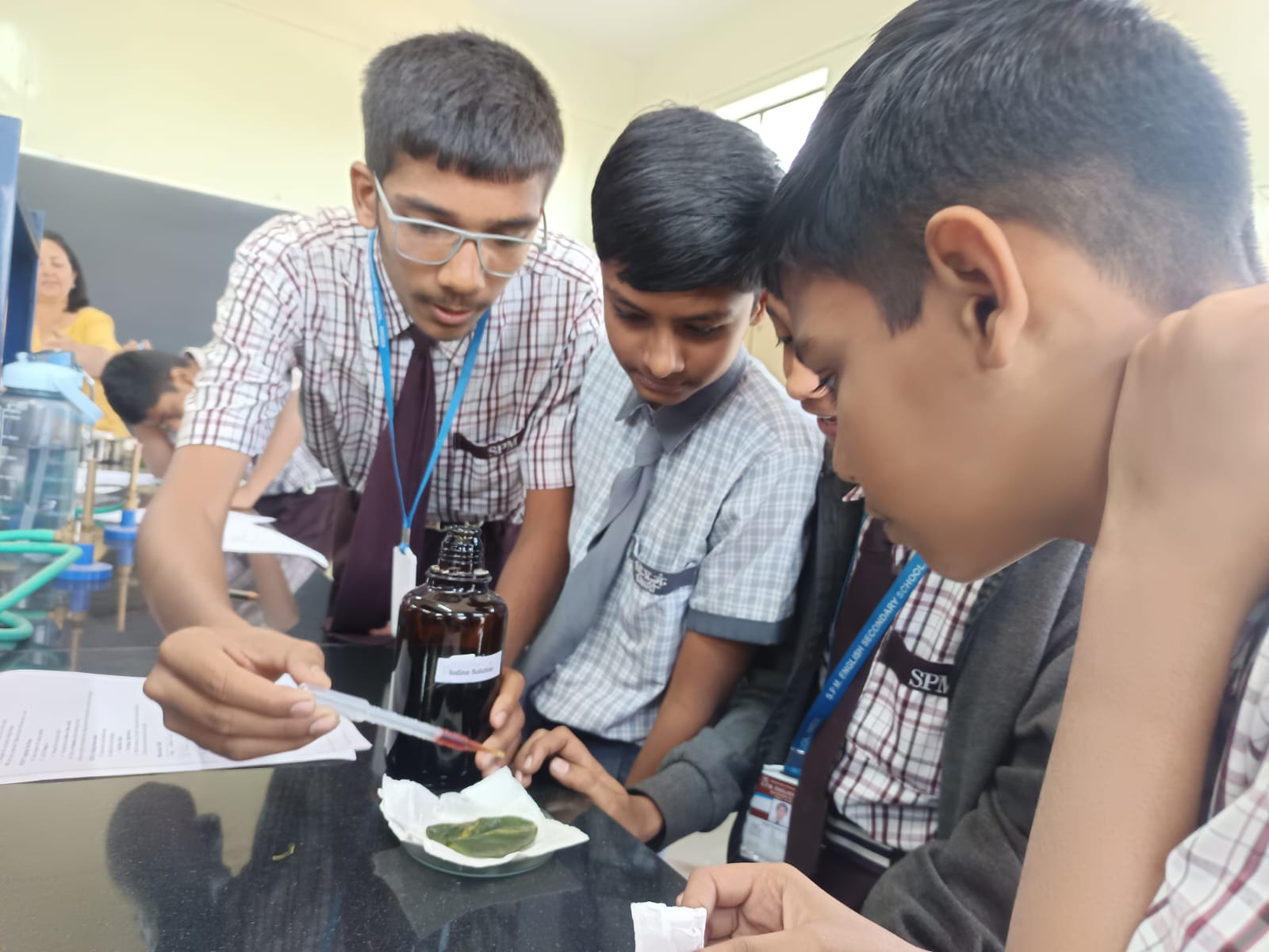 WhatsApp Image 2026-03-16 at 3.46.00 PM